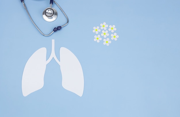 人間の肺のシンボル聴診器と紙のヒナギク
