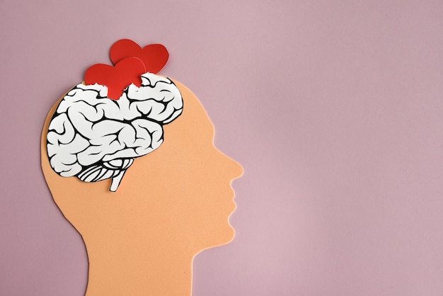 Фото Символ человеческой головы и мозга, наполненного сердцами концепция счастливого или любящего человека
