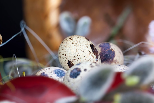 Symbols of the religious holiday of Easter