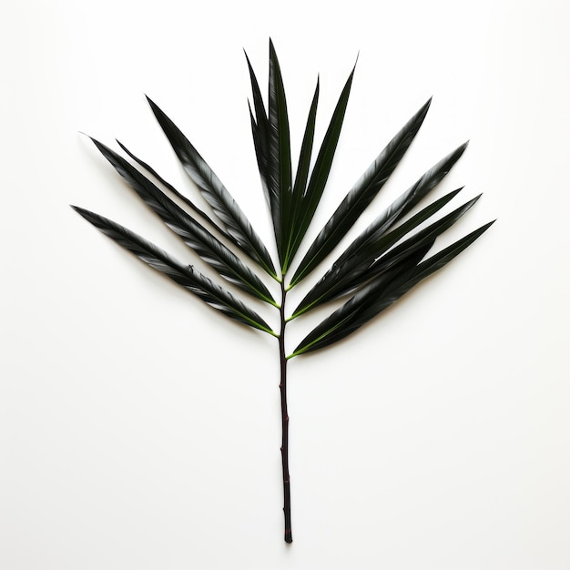 Photo symmetrical minimalism a dark palm leaf on white surface