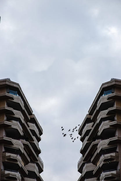 Symmetrische gebouwen met een zwerm vogels