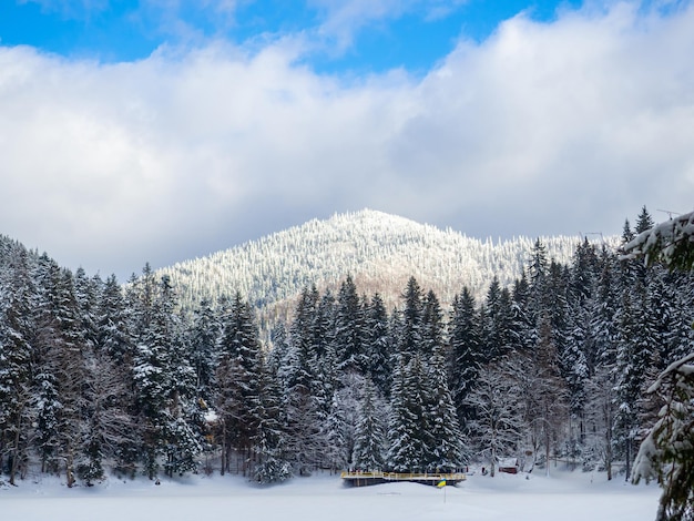 Synevyr tegen de achtergrond van een bos in de Karpaten in de winter