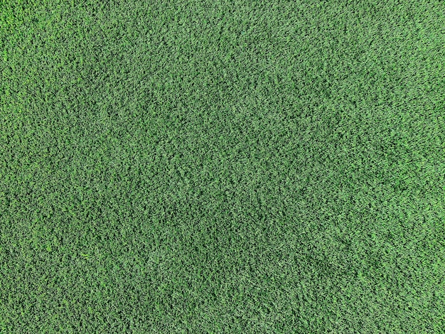 Synthetic grass or green lawn for rendering, background