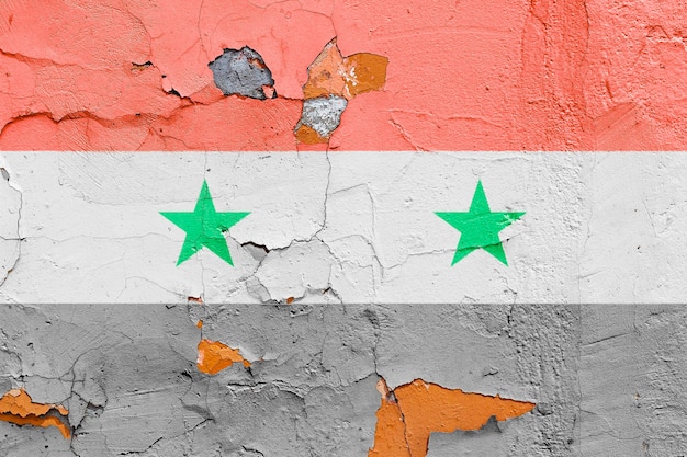 レンガの壁に描かれたシリアの旗