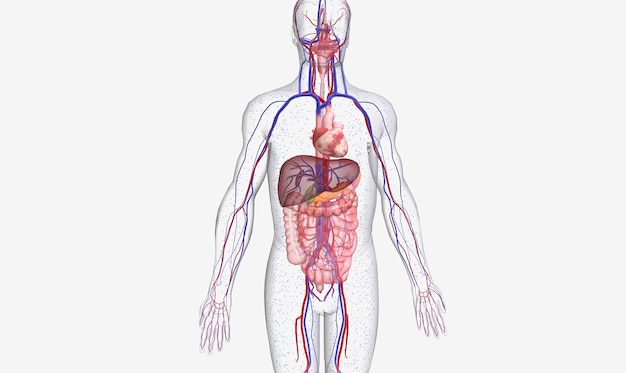 Photo systemic insulin and glucose in type 2 diabetes