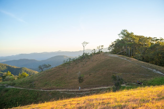 Ta Nang Phan Dung route with milestone between 3 provinces through grass hills and forests in Song Mao Nature Reserve