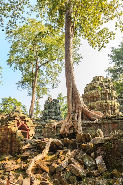 Photo ta phrom castle in angkor thom, cambodia