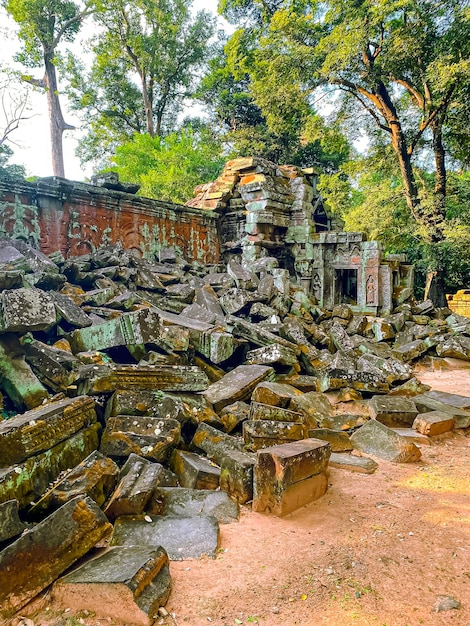 写真 カンボジアのアンコールの領土に位置するクメール文明の神秘的な寺院タ・プロム