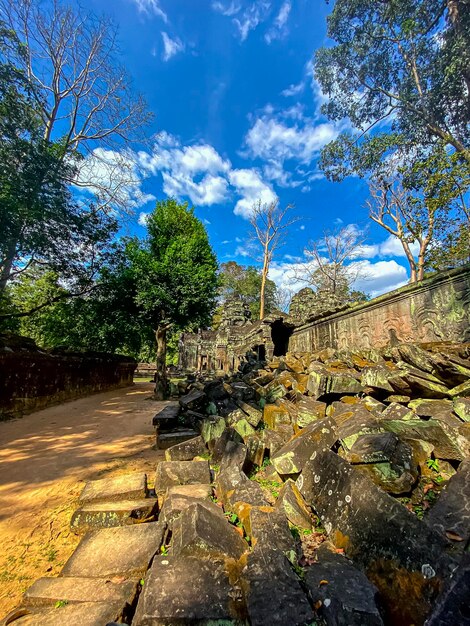 写真 カンボジアのアンコールの領土に位置するクメール文明の神秘的な寺院タ・プロム