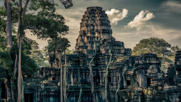 Ta prohm angkor wat in Cambodja