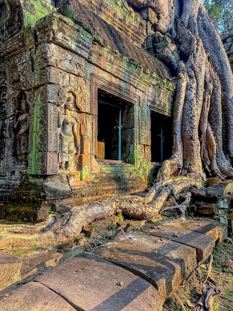 Foto ta prohm un misterioso tempio della civiltà khmer situato sul territorio di angkor in cambogia