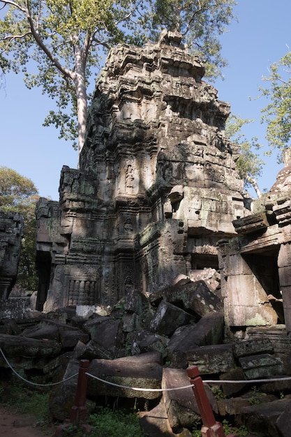 Ta Prohm tempel in de buurt van Angkor Wat Cambodja