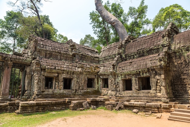 Ta Prohm tempelruïnes in Angkor Wat in Siem Reap, Cambodja