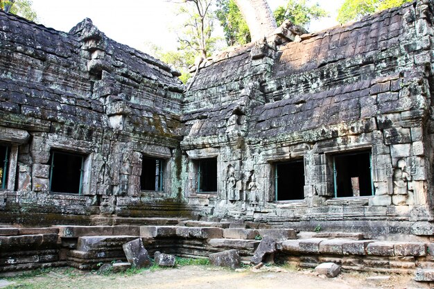 アンコールカンボジアのTa Prohm寺院