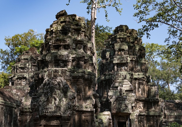Ta Prohm temple in Angkor Wat Cambodia
