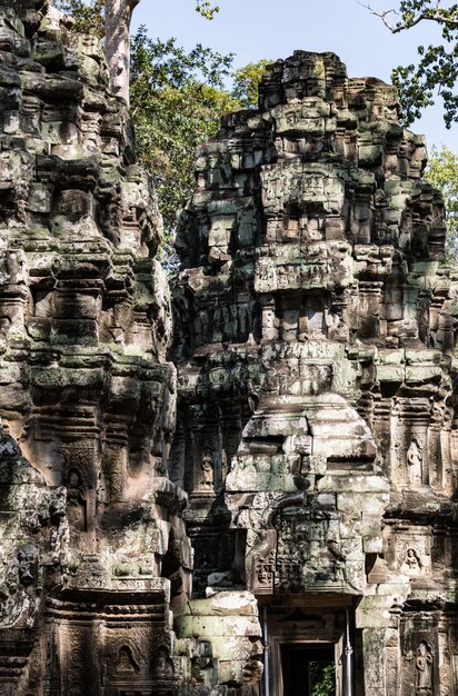 Ta Prohm temple near Angkor Wat Cambodia