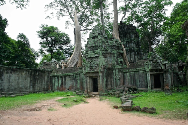 Ta Prohm temple in Siem Reap