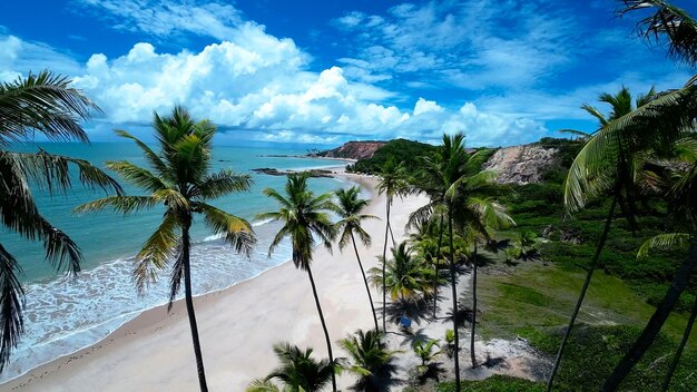 ブラジルのパライバにあるジョア・ペッソアにあるタバティンガビーチ