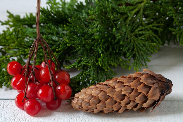 On the table are viburnum fruits and a cone. Behind the tree branch.
