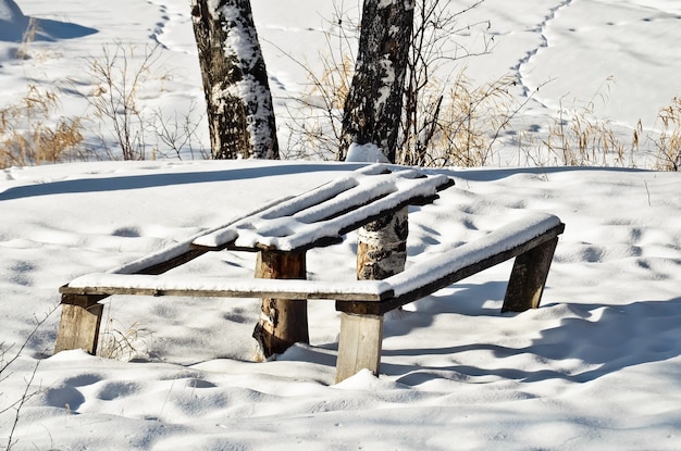 Стол и скамейка, покрытые белым снегом на фоне заснеженных лугов, деревьев, сухой травы, тропинок.