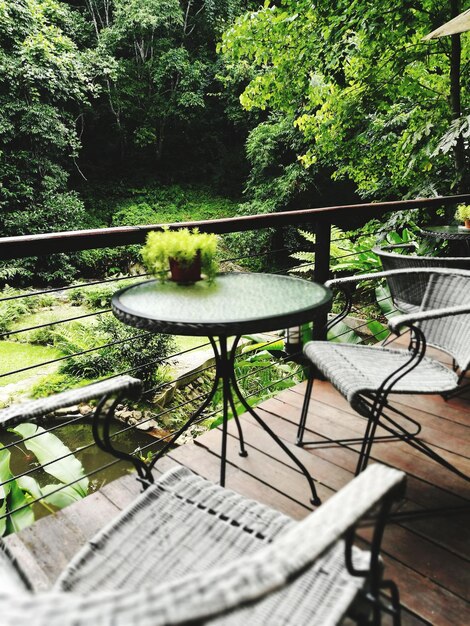 Table and chairs against trees