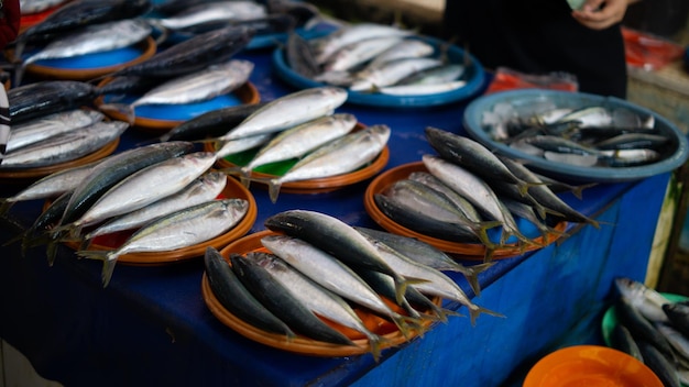 A table full of fish and a pumpkin on the side