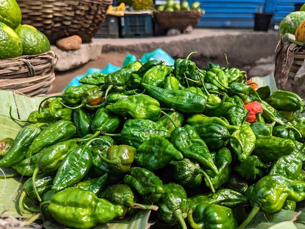 Photo a table full of peppers and other vegetables