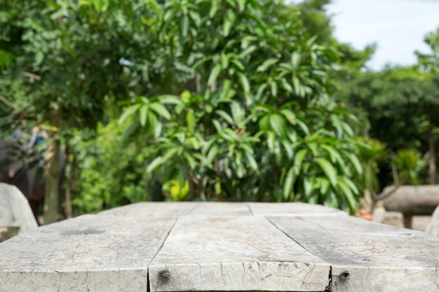 Table in garden