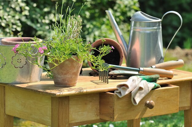 Table gardening