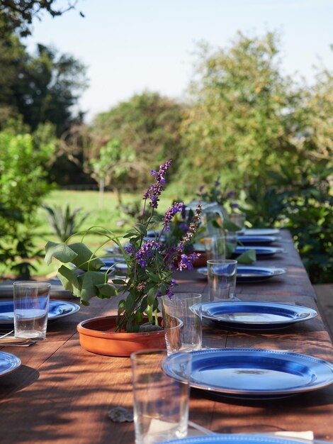 Table setting for banquet party with empty plates and glasses in park