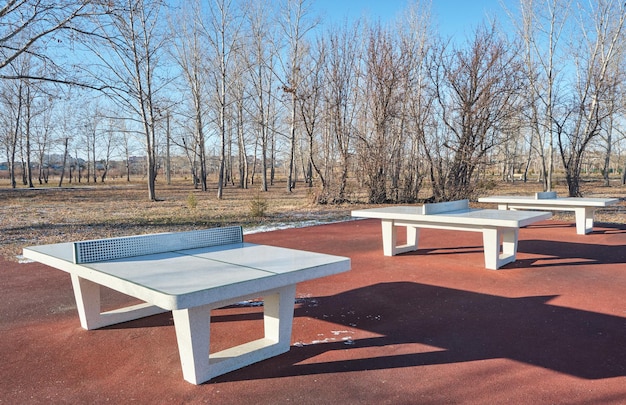 Table tennis tables in autumn public park.