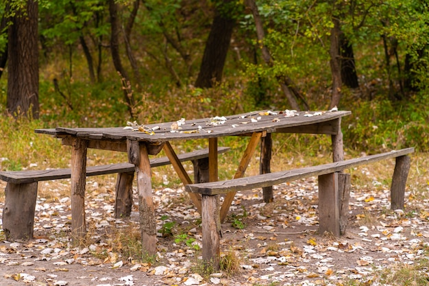 Foto un tavolo e due panche da una casa di tronchi grezzi. area ricreativa nella foresta