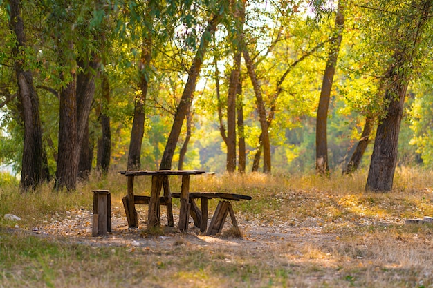 Un tavolo e due panche da una casa di tronchi grezzi. area ricreativa nella foresta