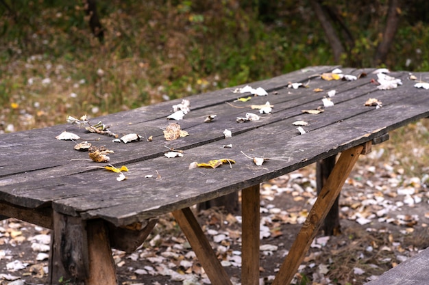 A table and two benches from a rough log house. Recreation area in the forest