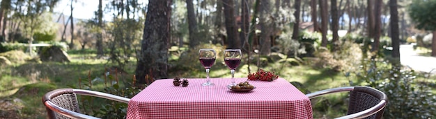 Table for two in the forest