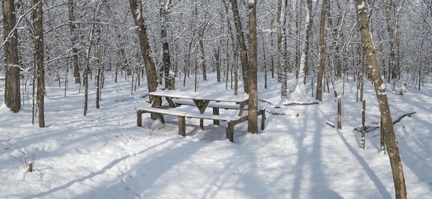 table on winter nature in the forest with a lot of snow