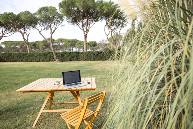 Table with gadgets and cup on lawn of green yard