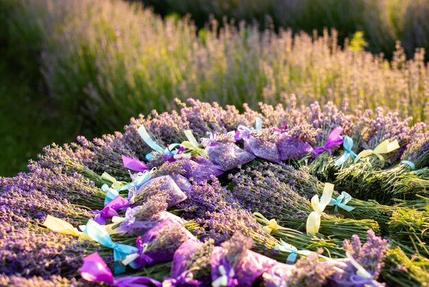 Table with lavender bouquets and sachets on background of lines of growing blooming lavender