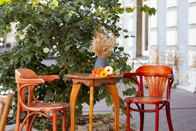 A table with three chairs and a plant on it