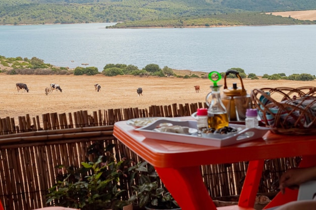 A table with a view of the lake and cows in the background.