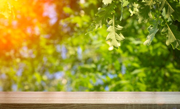 Table wood background in forest. Background of a blurred green summer forest with sunlight. High quality photo