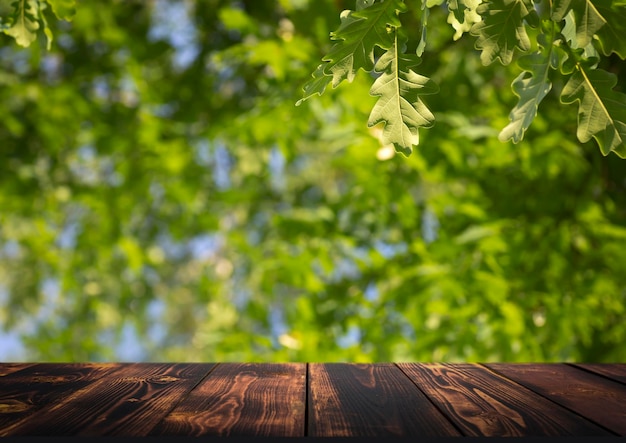 Table wood background in forest background of a blurred green\
summer forest with sunlight