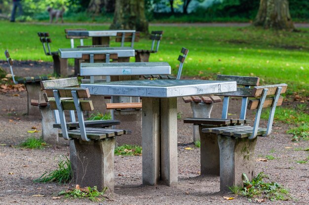 Photo tables for chess in the park