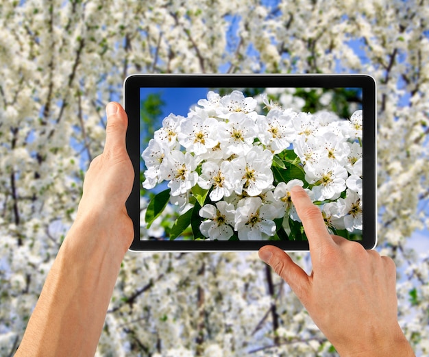 Tablet pc in mano per la pubblicità