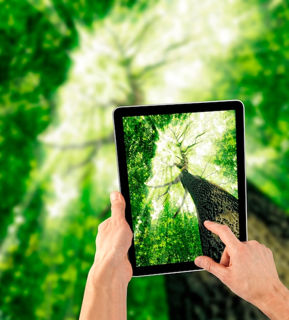 Tablet computer in hand on the forests