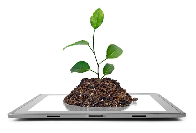 Tablet computer isolated on the white surfaces. tree