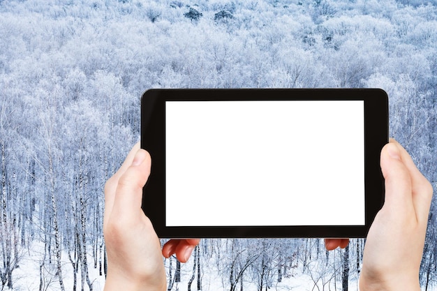 Tablet with cut out screen and frozen forest