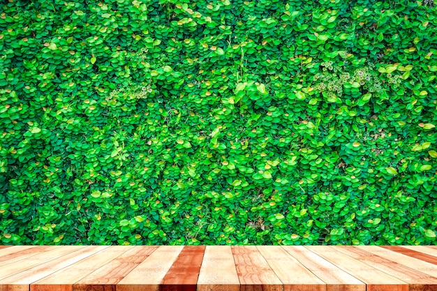 Tabletop with green plant nature background