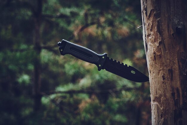 Photo tactical hunting knife is stuck into trunk dead tree