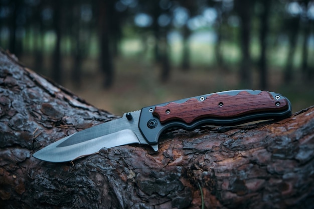 Тактический нож для выживания и защиты в сложных условиях лежит в стволе дерева в лесу